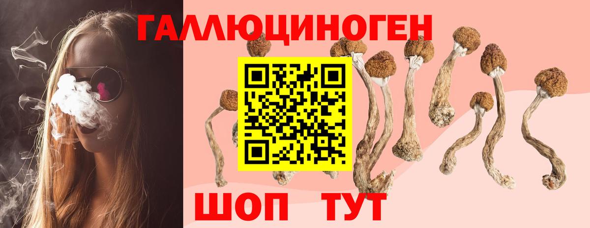 Галлюциногенные грибы Psilocybine cubensis  Псилоцибиновые грибы ЛСД  Донской  Вход с VPN 